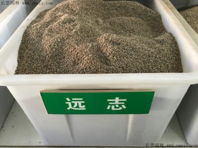 志遠(yuǎn)種子