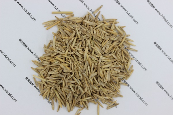 <a href='http://www.fscangbo.com/mucaozhongzi/1665.html' target='_blank'>冰草</a><a href='http://www.fscangbo.com/' target='_blank'>種子</a>