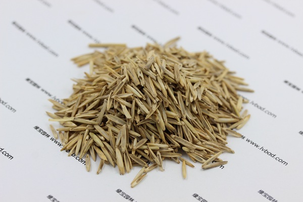 冰草<a href='http://www.fscangbo.com/' target='_blank'>種子</a>