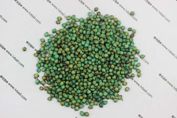 <a href='http://www.fscangbo.com/mucaozhongzi/1691.html' target='_blank'>甜高粱種子</a>