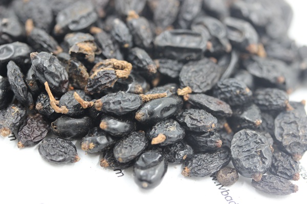 <a href='http://www.fscangbo.com/caohuazhongzi/1643.html' target='_blank'>繡球花</a><a href='http://www.fscangbo.com/' target='_blank'>種子</a>