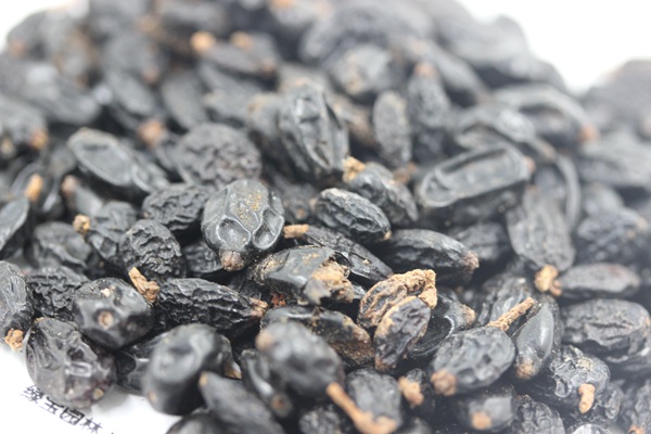 <a href='http://www.fscangbo.com/caohuazhongzi/1643.html' target='_blank'>繡球花種子</a>