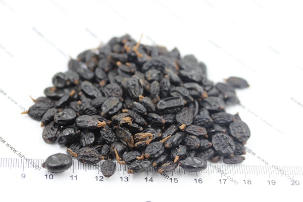 繡球花<a href='http://www.fscangbo.com/' target='_blank'>種子</a>