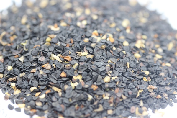 <a href='http://www.fscangbo.com/caohuazhongzi/1632.html' target='_blank'>五彩石竹</a><a href='http://www.fscangbo.com/' target='_blank'>種子</a>