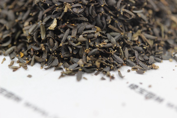 <a href='http://www.fscangbo.com/caohuazhongzi/1621.html' target='_blank'>蛇目菊種子</a> 蛇目菊<a href='http://www.fscangbo.com/' target='_blank'>種子</a>