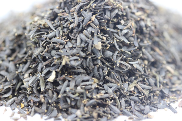 蛇目菊<a href='http://www.fscangbo.com/' target='_blank'>種子</a> <a href='http://www.fscangbo.com/caohuazhongzi/1621.html' target='_blank'>蛇目菊種子</a>