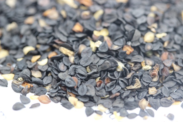 <a href='http://www.fscangbo.com/caohuazhongzi/1598.html' target='_blank'>美國石竹</a><a href='http://www.fscangbo.com/' target='_blank'>種子</a>