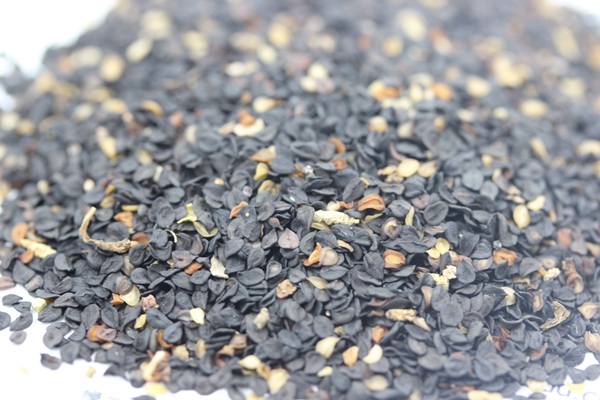 美國<a href='http://www.fscangbo.com/caohuazhongzi/97045.html' target='_blank'>石竹種子</a>