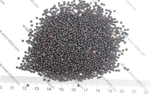 <a href='http://www.fscangbo.com/caohuazhongzi/1595.html' target='_blank'>滿天星種子</a> <a href='http://www.fscangbo.com/caohuazhongzi/1595.html' target='_blank'>滿天星</a><a href='http://www.fscangbo.com/' target='_blank'>種子</a>