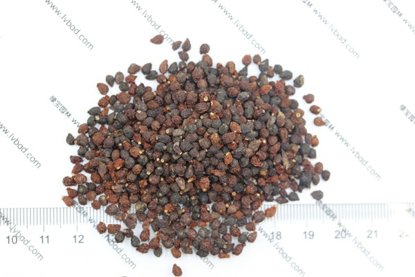 藍花<a href='http://www.fscangbo.com/caohuazhongzi/1578.html' target='_blank'>鳶尾種子</a>