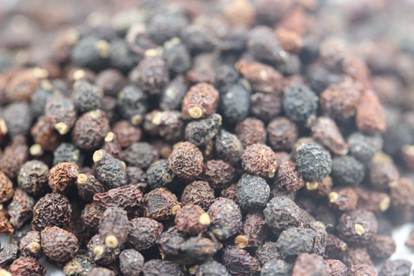 藍花<a href='http://www.fscangbo.com/caohuazhongzi/1578.html' target='_blank'>鳶尾種子</a>