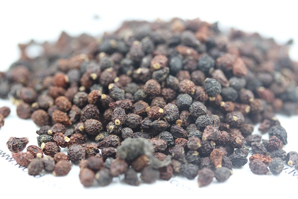 藍花<a href='http://www.fscangbo.com/caohuazhongzi/1578.html' target='_blank'>鳶尾</a><a href='http://www.fscangbo.com/' target='_blank'>種子</a>