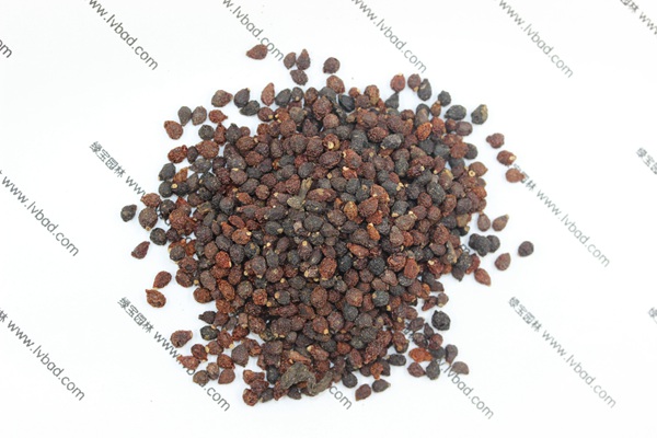 藍花<a href='http://www.fscangbo.com/caohuazhongzi/1578.html' target='_blank'>鳶尾</a><a href='http://www.fscangbo.com/' target='_blank'>種子</a>