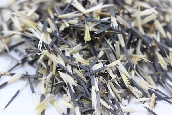 <a href='http://www.fscangbo.com/caohuazhongzi/1575.html' target='_blank'>孔雀草種子</a> <a href='http://www.fscangbo.com/caohuazhongzi/1575.html' target='_blank'>孔雀草種子</a>