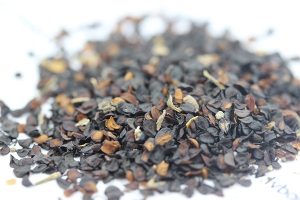 <a href='http://www.fscangbo.com/caohuazhongzi/1574.html' target='_blank'>康乃馨種子</a>