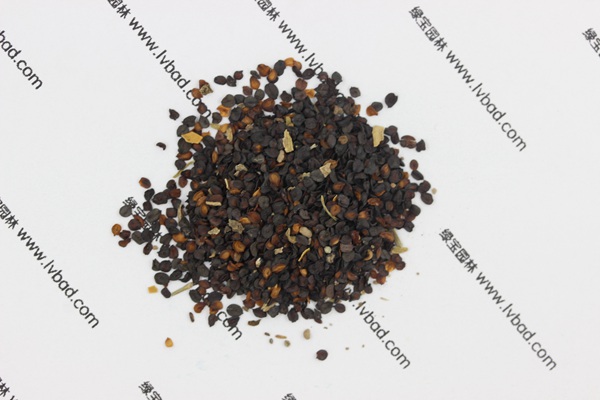 <a href='http://www.fscangbo.com/caohuazhongzi/1574.html' target='_blank'>康乃馨</a><a href='http://www.fscangbo.com/' target='_blank'>種子</a>