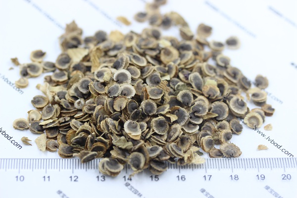 <a href='http://www.fscangbo.com/caohuazhongzi/1572.html' target='_blank'>錦葵</a><a href='http://www.fscangbo.com/' target='_blank'>種子</a>