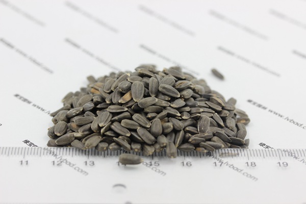 觀賞<a href='http://www.fscangbo.com/caohuazhongzi/97271.html' target='_blank'>向日葵種子</a>