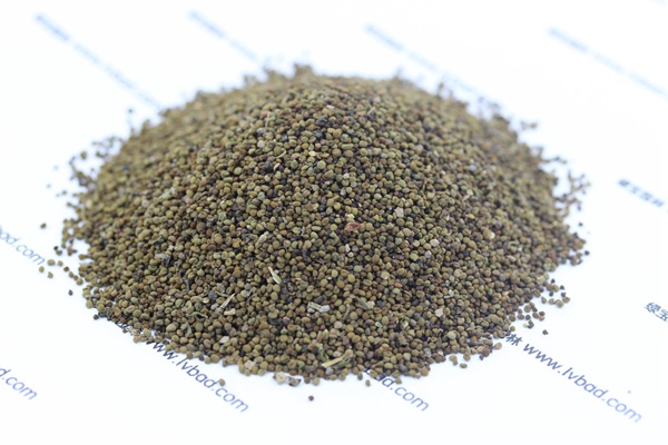 半枝蓮<a href='http://www.fscangbo.com/' target='_blank'>種子</a> 半枝蓮種子