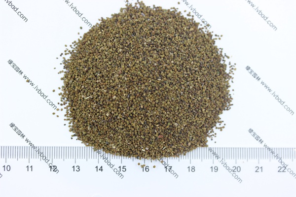 <a href='http://www.fscangbo.com/caohuazhongzi/1022.html' target='_blank'>半枝蓮種子</a> 半枝蓮<a href='http://www.fscangbo.com/' target='_blank'>種子</a>