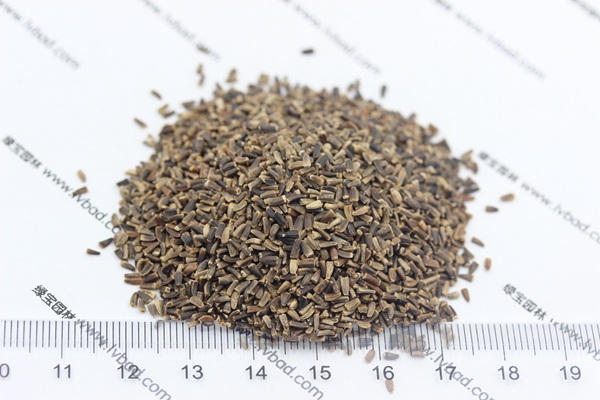 <a href='http://www.fscangbo.com/mucaozhongzi/14254.html' target='_blank'>菊苣種子</a> <a href='http://www.fscangbo.com/mucaozhongzi/14254.html' target='_blank'>菊苣種子</a>