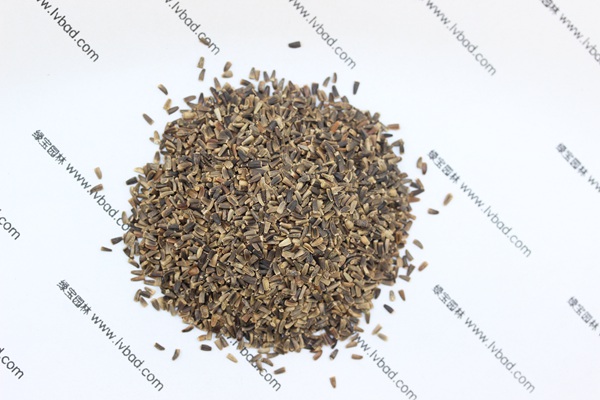 <a href='http://www.fscangbo.com/mucaozhongzi/14254.html' target='_blank'>菊苣種子</a> <a href='http://www.fscangbo.com/mucaozhongzi/14254.html' target='_blank'>菊苣</a><a href='http://www.fscangbo.com/' target='_blank'>種子</a>