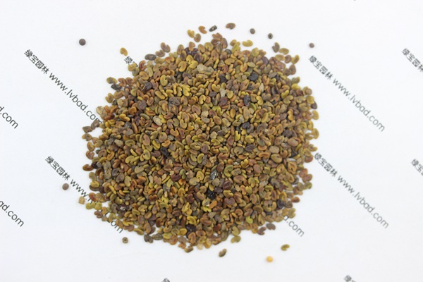 <a href='http://www.fscangbo.com/mucaozhongzi/1694.html' target='_blank'>紫云英</a><a href='http://www.fscangbo.com/' target='_blank'>種子</a>