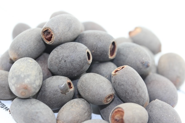 <a href='http://www.fscangbo.com/caohuazhongzi/1059.html' target='_blank'>荷花</a><a href='http://www.fscangbo.com/' target='_blank'>種子</a>