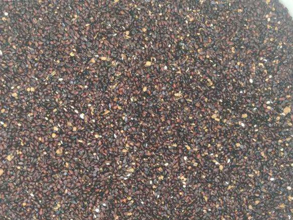 <a href='http://www.fscangbo.com/guoshuzhongzi/1881.html' target='_blank'>梨樹(shù)</a><a href='http://www.fscangbo.com/' target='_blank'>種子</a>