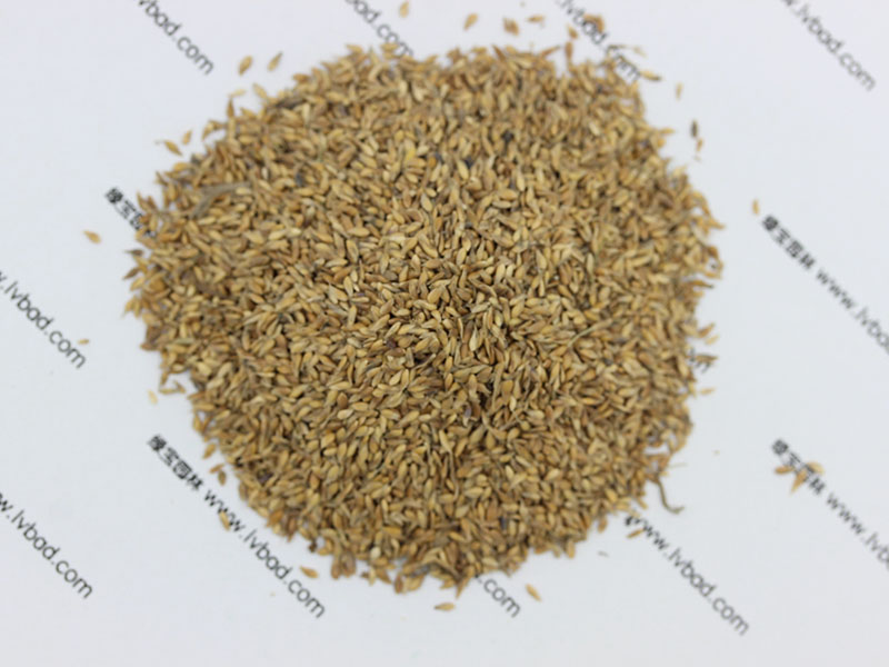 <a href='http://www.fscangbo.com/caopingzhongzi/1671.html' target='_blank'>結(jié)縷草種子</a>