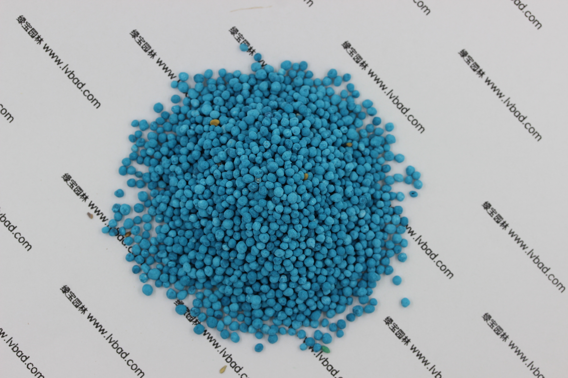 <a href='http://www.fscangbo.com/caopingzhongzi/1672.html' target='_blank'>馬蹄金種子</a> <a href='http://www.fscangbo.com/caopingzhongzi/1672.html' target='_blank'>馬蹄金種子</a>