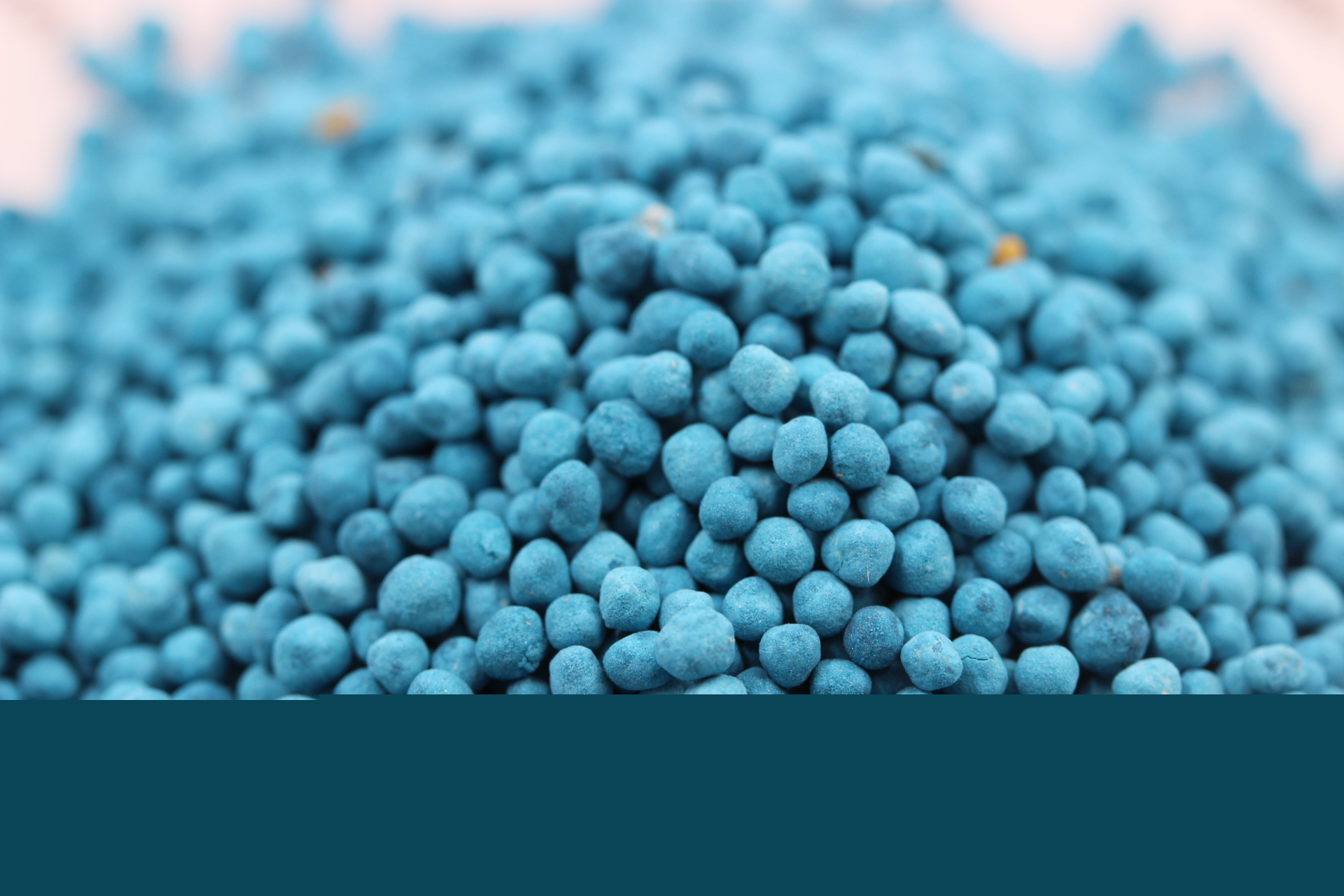 <a href='http://www.fscangbo.com/caopingzhongzi/1672.html' target='_blank'>馬蹄金</a><a href='http://www.fscangbo.com/' target='_blank'>種子</a> <a href='http://www.fscangbo.com/caopingzhongzi/1672.html' target='_blank'>馬蹄金</a><a href='http://www.fscangbo.com/' target='_blank'>種子</a>