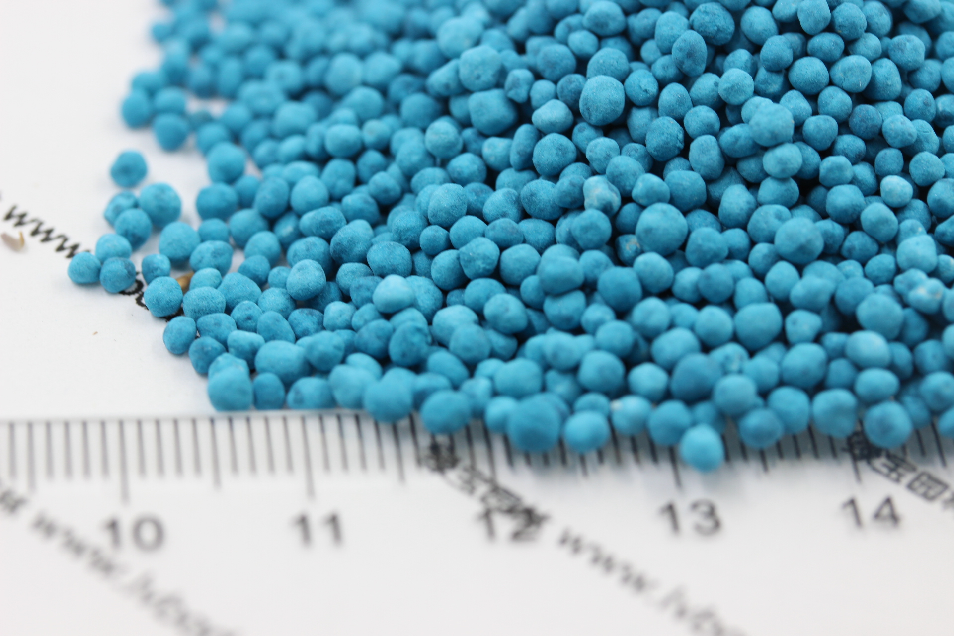 馬蹄金<a href='http://www.fscangbo.com/' target='_blank'>種子</a> 馬蹄金<a href='http://www.fscangbo.com/' target='_blank'>種子</a>