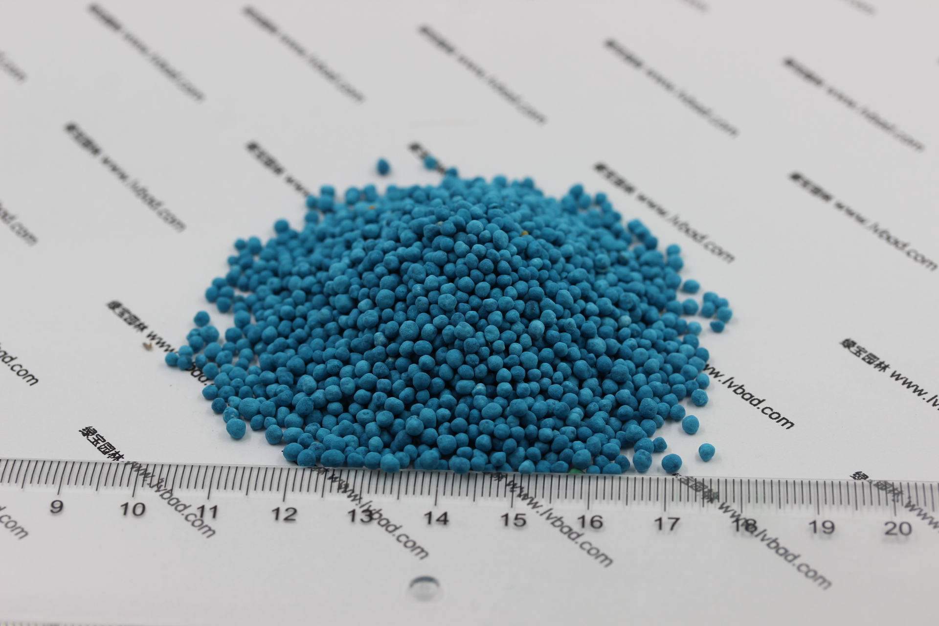 <a href='http://www.fscangbo.com/caopingzhongzi/1672.html' target='_blank'>馬蹄金種子</a> <a href='http://www.fscangbo.com/caopingzhongzi/1672.html' target='_blank'>馬蹄金種子</a>