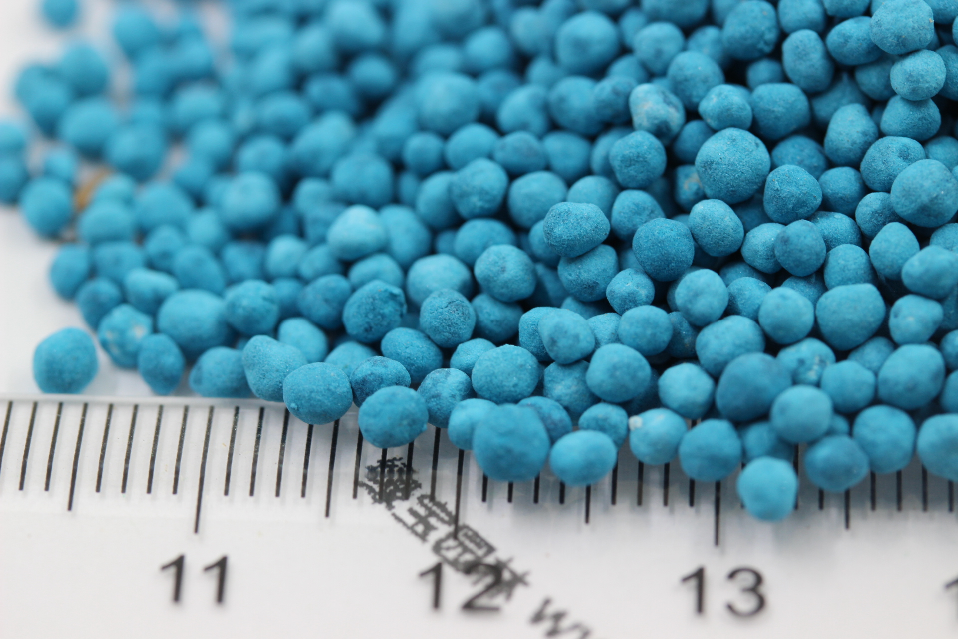 <a href='http://www.fscangbo.com/caopingzhongzi/1672.html' target='_blank'>馬蹄金種子</a> <a href='http://www.fscangbo.com/caopingzhongzi/1672.html' target='_blank'>馬蹄金種子</a>