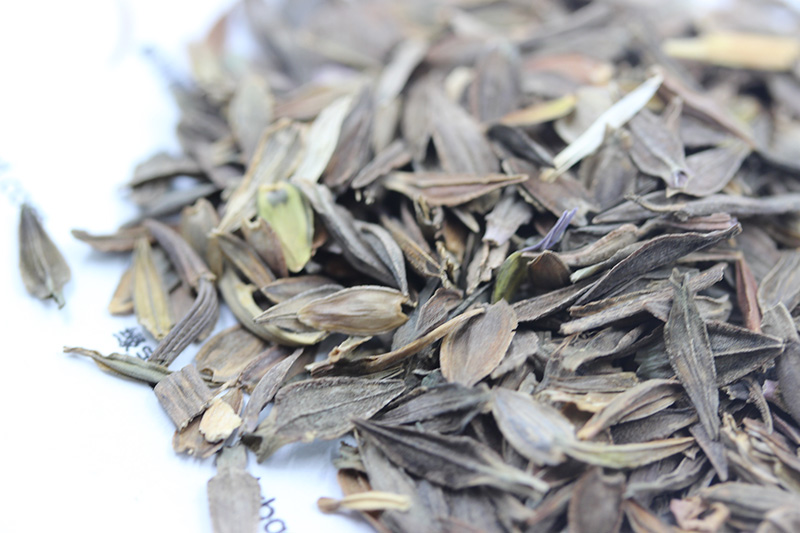 <a href='http://www.fscangbo.com/caohuazhongzi/1020.html' target='_blank'>百日草種子</a>