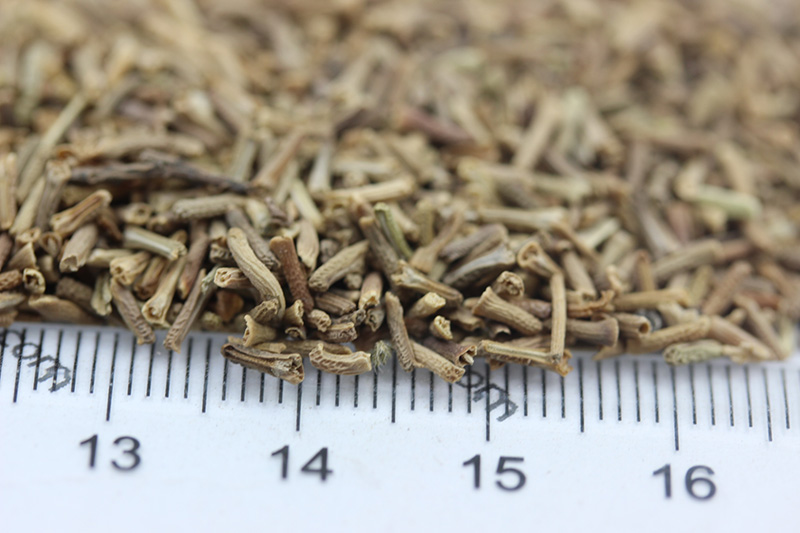 <a href='http://www.fscangbo.com/caohuazhongzi/1600.html' target='_blank'>美女櫻種子</a>