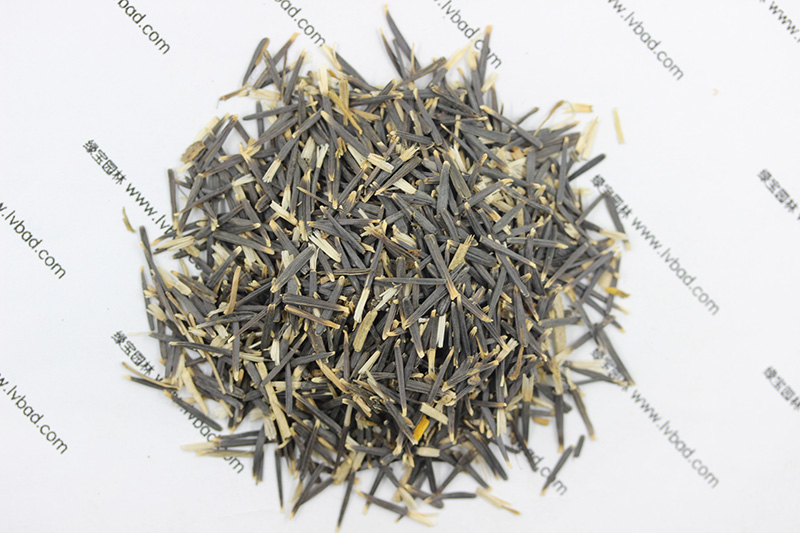 <a href='http://www.fscangbo.com/caohuazhongzi/1631.html' target='_blank'>萬(wàn)壽菊種子</a>