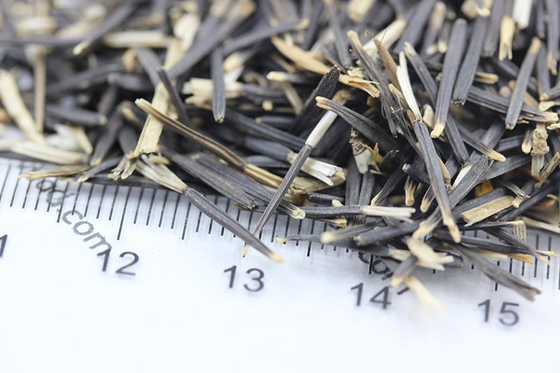 <a href='http://www.fscangbo.com/caohuazhongzi/1631.html' target='_blank'>萬(wàn)壽菊</a><a href='http://www.fscangbo.com/' target='_blank'>種子</a>