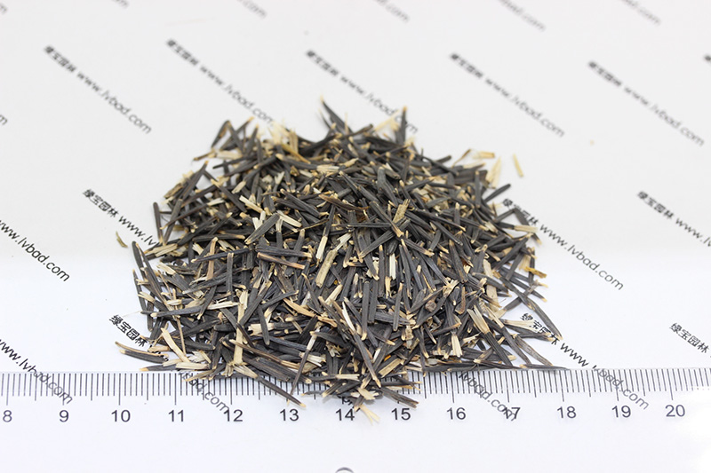 <a href='http://www.fscangbo.com/caohuazhongzi/1631.html' target='_blank'>萬(wàn)壽菊種子</a>