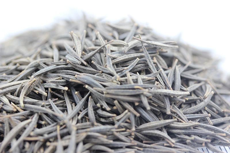 <a href='http://www.fscangbo.com/caohuazhongzi/1054.html' target='_blank'>格桑花</a><a href='http://www.fscangbo.com/' target='_blank'>種子</a>