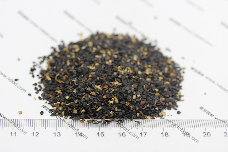 石竹<a href='http://www.fscangbo.com/' target='_blank'>種子</a> <a href='http://www.fscangbo.com/caohuazhongzi/97045.html' target='_blank'>石竹種子</a>