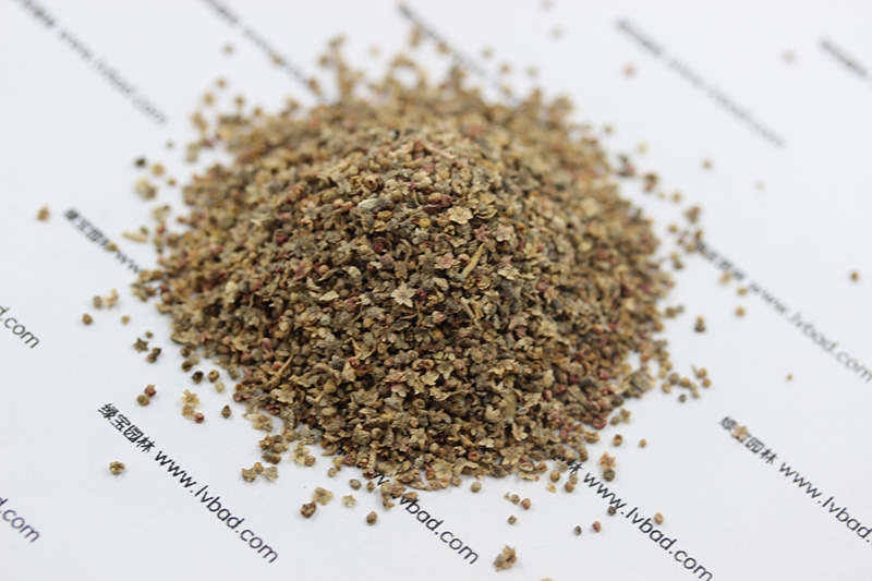 紅<a href='http://www.fscangbo.com/caohuazhongzi/1041.html' target='_blank'>地膚</a><a href='http://www.fscangbo.com/' target='_blank'>種子</a>