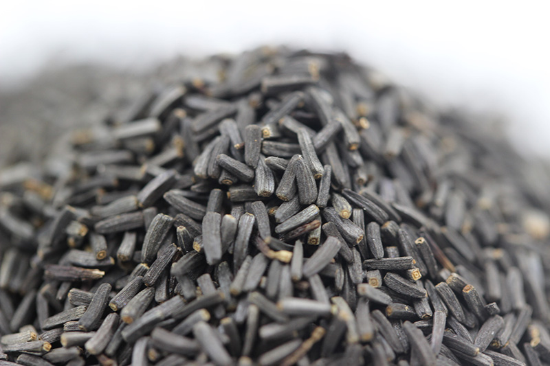 <a href='http://www.fscangbo.com/caohuazhongzi/1060.html' target='_blank'>黑心菊</a><a href='http://www.fscangbo.com/' target='_blank'>種子</a>