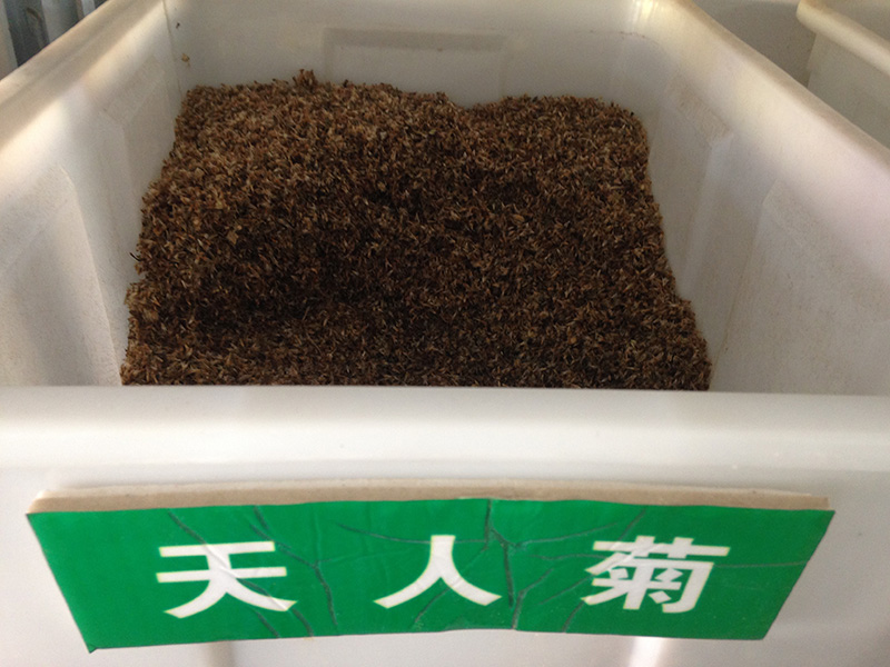 <a href='http://www.fscangbo.com/caohuazhongzi/16044.html' target='_blank'>天人菊</a><a href='http://www.fscangbo.com/' target='_blank'>種子</a>