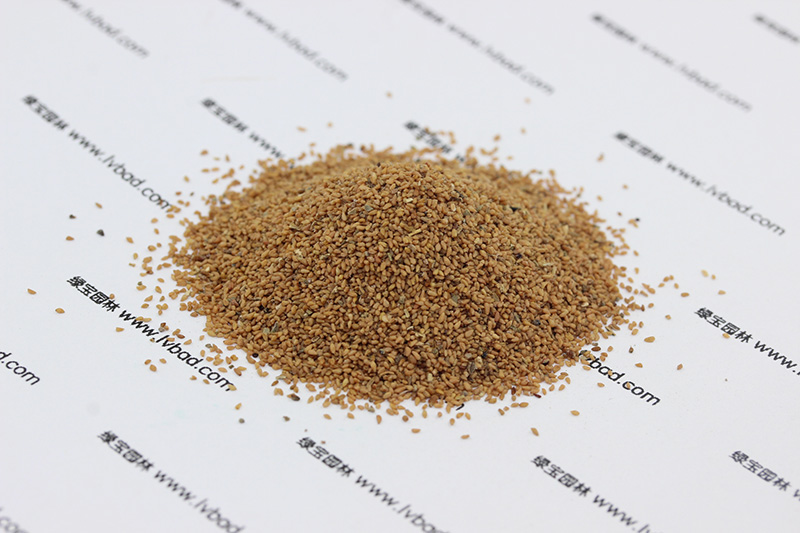 月見草<a href='http://www.fscangbo.com/' target='_blank'>種子</a>