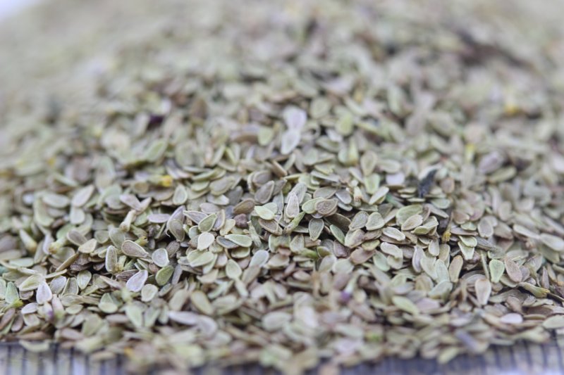 <a href='http://www.fscangbo.com/caohuazhongzi/1032.html' target='_blank'>雛菊種子</a> <a href='http://www.fscangbo.com/caohuazhongzi/1032.html' target='_blank'>雛菊</a><a href='http://www.fscangbo.com/' target='_blank'>種子</a>