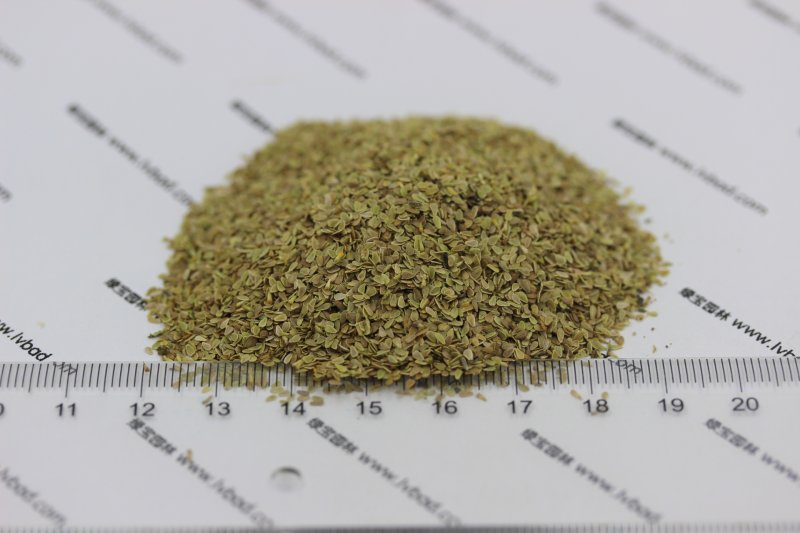 <a href='http://www.fscangbo.com/caohuazhongzi/1032.html' target='_blank'>雛菊種子</a> 雛菊<a href='http://www.fscangbo.com/' target='_blank'>種子</a>