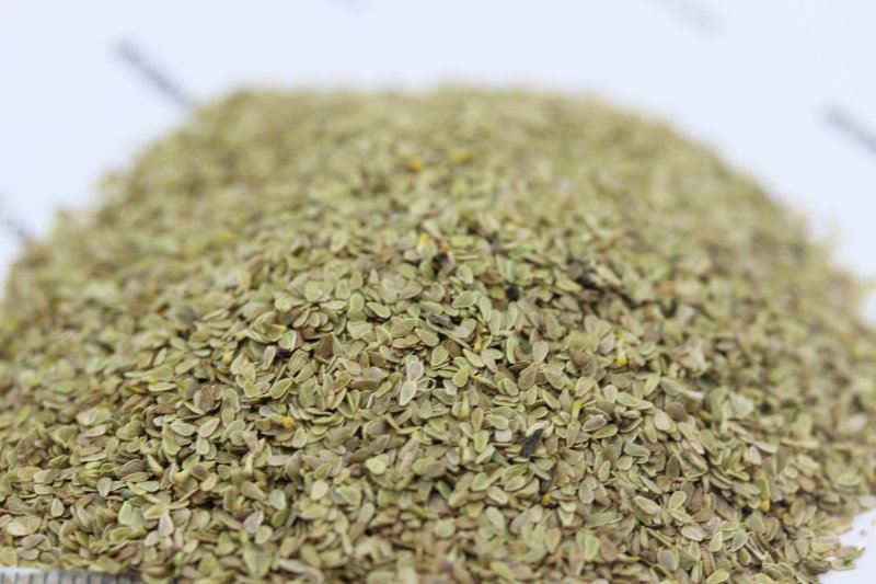 <a href='http://www.fscangbo.com/caohuazhongzi/1032.html' target='_blank'>雛菊</a><a href='http://www.fscangbo.com/' target='_blank'>種子</a> <a href='http://www.fscangbo.com/caohuazhongzi/1032.html' target='_blank'>雛菊種子</a>