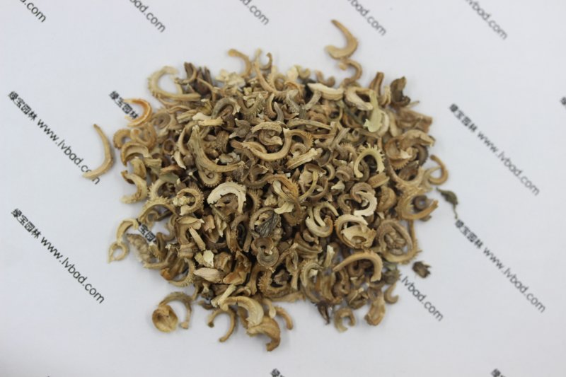 <a href='http://www.fscangbo.com/caohuazhongzi/1571.html' target='_blank'>金盞菊</a><a href='http://www.fscangbo.com/' target='_blank'>種子</a>圖片